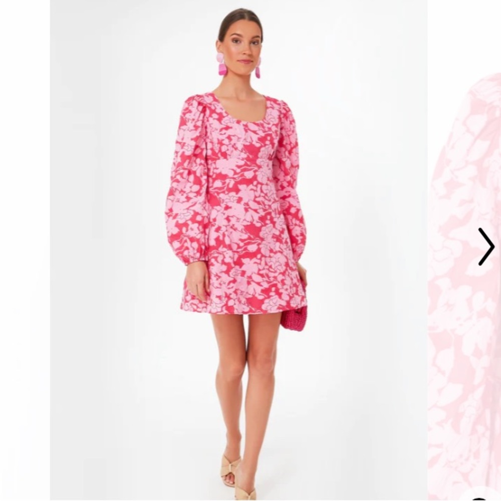 Tuckernuck Hyacinth House balloon sleeve floral dress - large